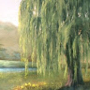 Meet your Posher, Willow